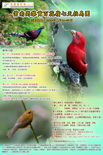 雲南高黎貢百花嶺七天拍鳥團